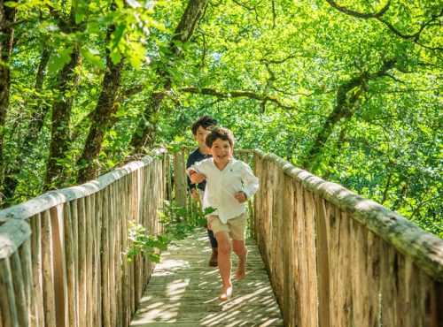 camping perigord vacances cabanes dans les arbres perigord noir nature foret ponton 3